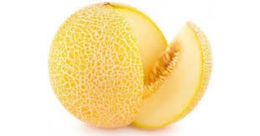 Galia Melone